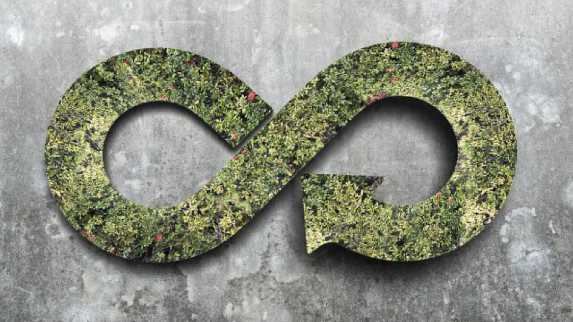Un symbole de l'infini recouvert de mousse avec une flèche se détache sur un fond de béton gris texturé, symbolisant la durabilité ou l'économie circulaire.
