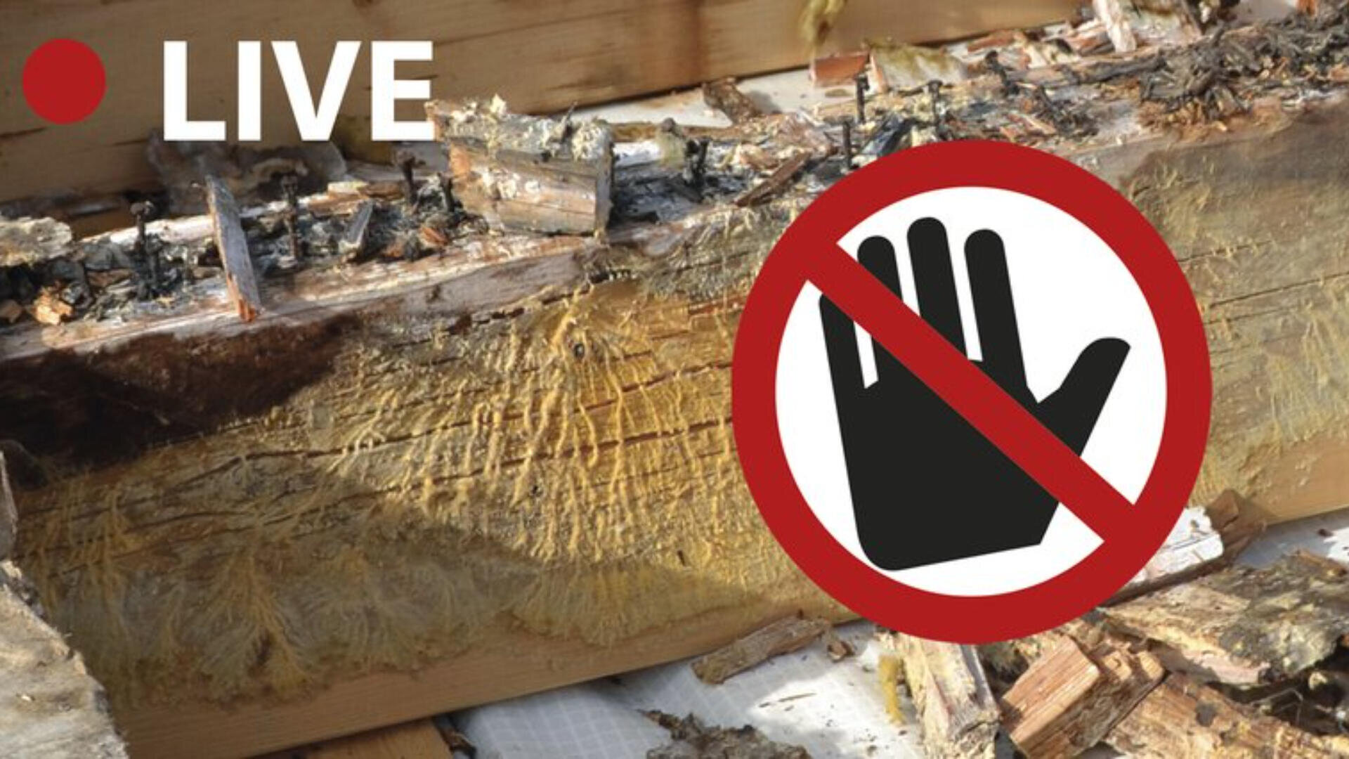 Ein verbrannter Holzbalken mit verkohlten Überresten, überlagert von einem "Nicht berühren"-Symbol - einer schwarzen Hand in einem roten Kreis mit einer diagonalen Linie. In der oberen linken Ecke erscheint das Wort LIVE.