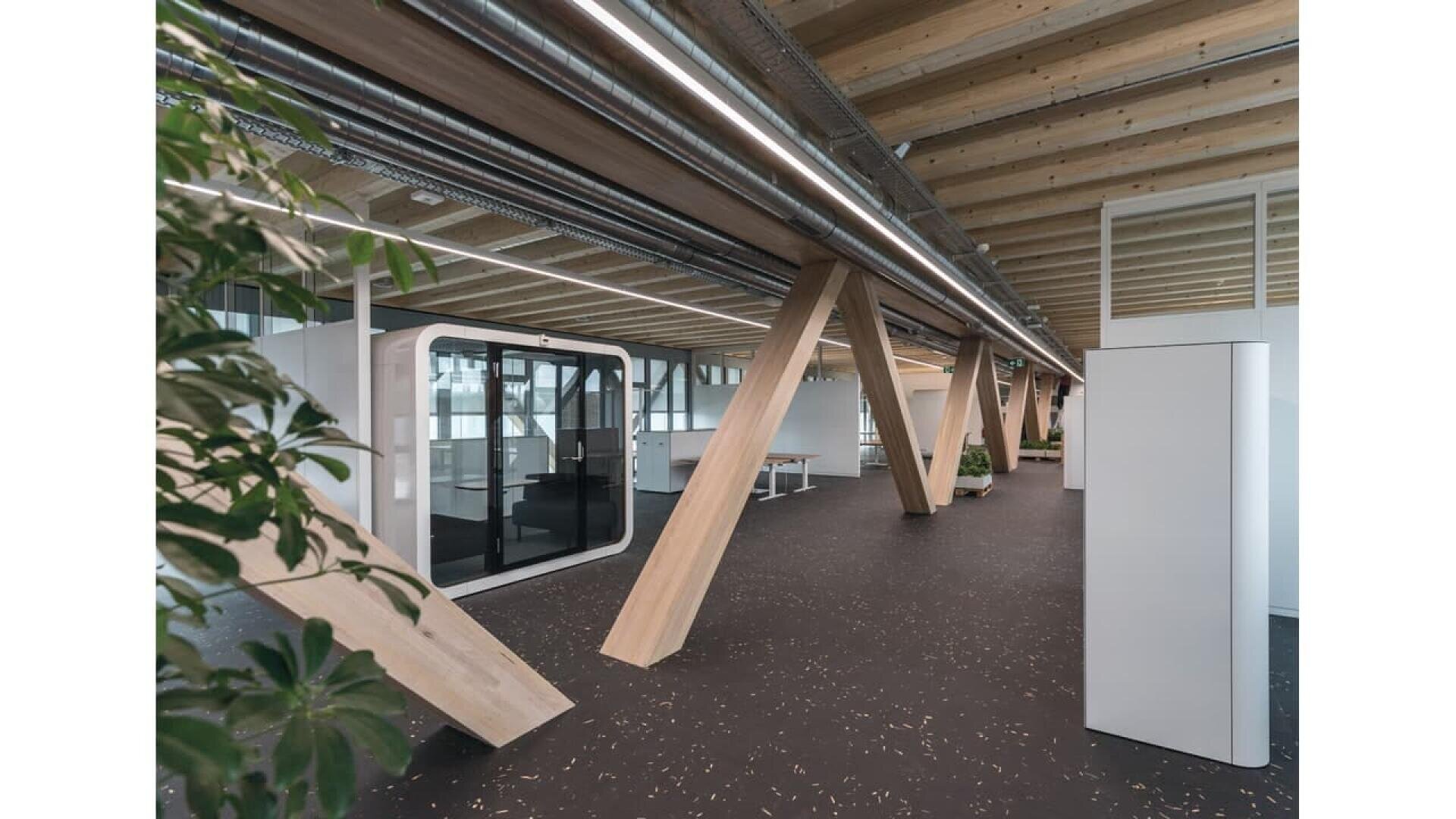 Bureau moderne à espace ouvert avec poutres en bois en angle, plafonds apparents, sol noir, salles de réunion vitrées, cloisons blanches et plantes vertes, créant un espace de travail spacieux et contemporain.