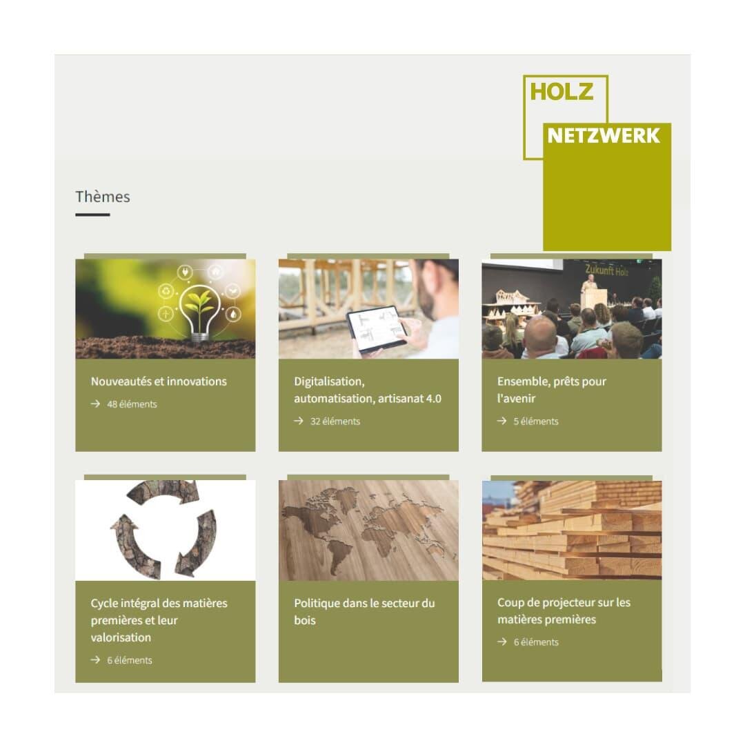 Capture d'écran d'une section du site web intitulée "HOLZ NETZWERK" avec six encadrés verts montrant des thèmes sur l'innovation, la numérisation, la collaboration, les ressources, la politique et les matières premières dans l'industrie du bois, chacun avec une icône et un nombre d'éléments.
