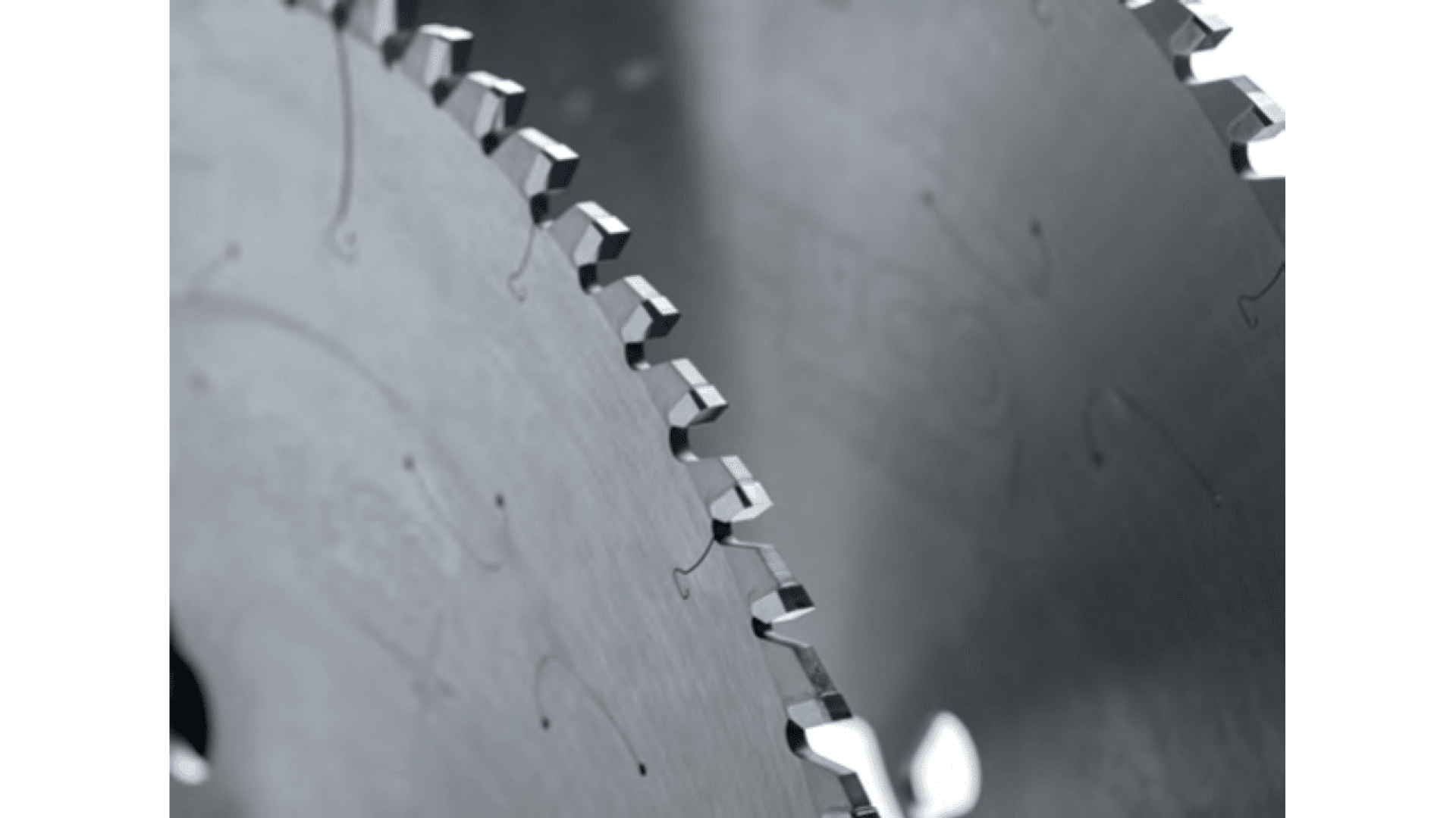 Vue rapprochée de deux lames de scie circulaire placées l'une à côté de l'autre, montrant leurs dents acérées et dentelées et leurs surfaces métalliques réfléchissantes. L'arrière-plan est flou, ce qui fait ressortir les bords des lames.