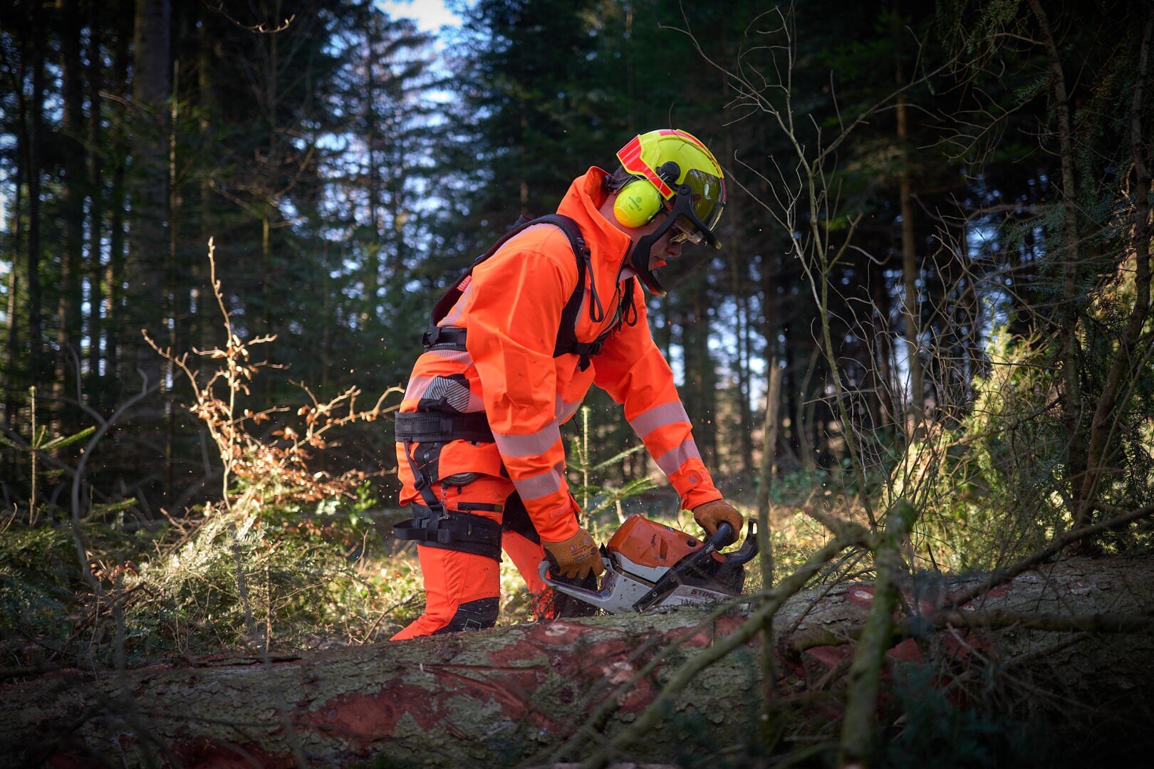 Une personne portant un équipement de sécurité orange vif et un casque utilise une tronçonneuse pour couper un arbre tombé dans une forêt pendant la journée.