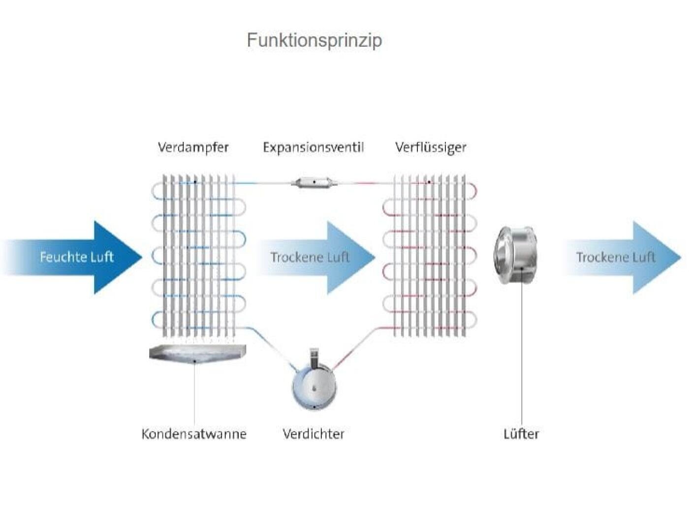 Schematische Darstellung des Funktionsprinzips eines Luftentfeuchters: feuchte Luft strömt durch einen Verdampfer, ein Expansionsventil, einen Kondensator und ein Gebläse; trockene Luft tritt aus, wobei die Komponenten beschriftet sind und die Pfeile die Richtung des Luftstroms angeben.