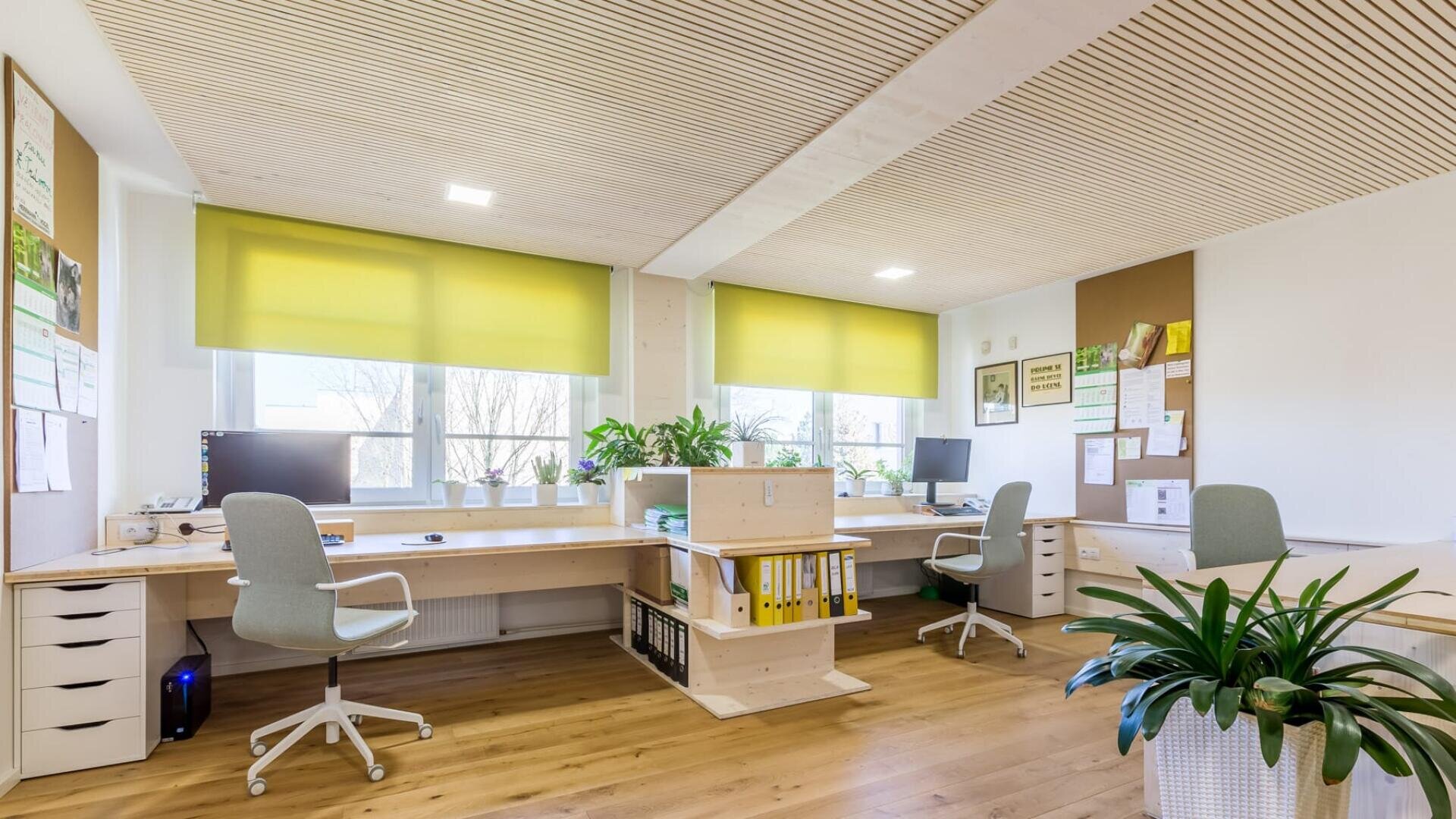 Ein modernes, helles Büro mit Holzböden, zwei Arbeitsplätzen, grünen Stühlen, Computern, Pflanzen und großen, mit gelben Jalousien versehenen Fenstern. An den Wänden befinden sich Pinnwände und Dokumente.
