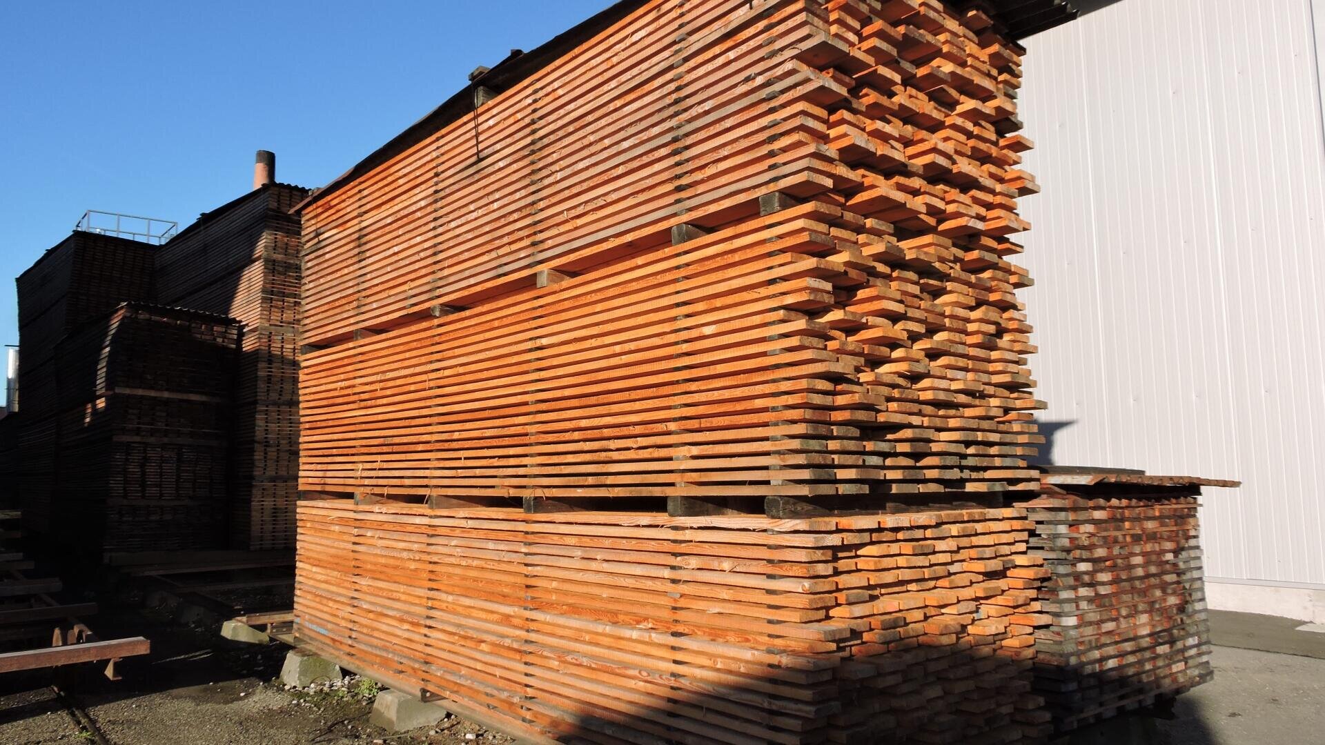 Große Stapel von Holzbrettern trocknen unter freiem Himmel in der Nähe eines weißen Industriegebäudes in ordentlicher Anordnung.