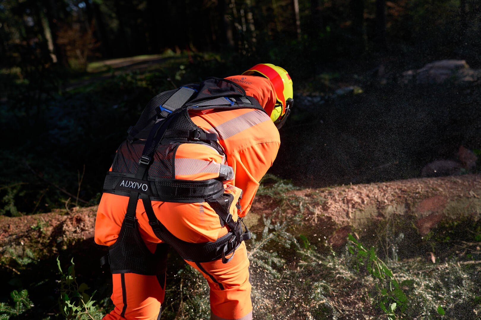 Eine Person in leuchtend orangefarbener Schutzausrüstung und mit Helm zersägt mit einer Kettensäge einen umgestürzten Baum in einem Waldgebiet, wobei Holzspäne durch die Luft fliegen.