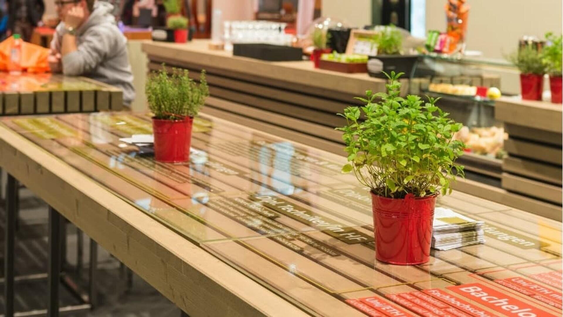 Un café ou un restaurant moderne avec de longues tables en bois recouvertes de verre, des herbes rouges en pot en guise de centre de table et des brochures d'information. Des personnes sont assises à l'arrière-plan.