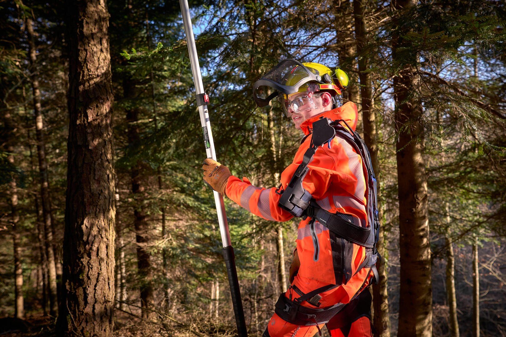Une personne portant un équipement de protection orange, un casque, des gants et des lunettes de protection se tient dans une forêt tenant un long outil à perche, entourée de grands arbres en plein soleil.