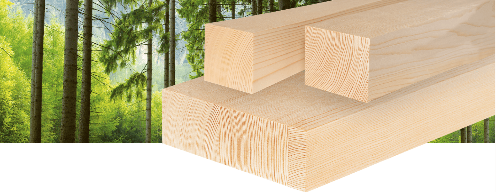 Au premier plan, trois poutres en bois rectangulaires et lisses sont empilées, tandis qu'à l'arrière-plan se trouvent des arbres forestiers verts et ensoleillés.