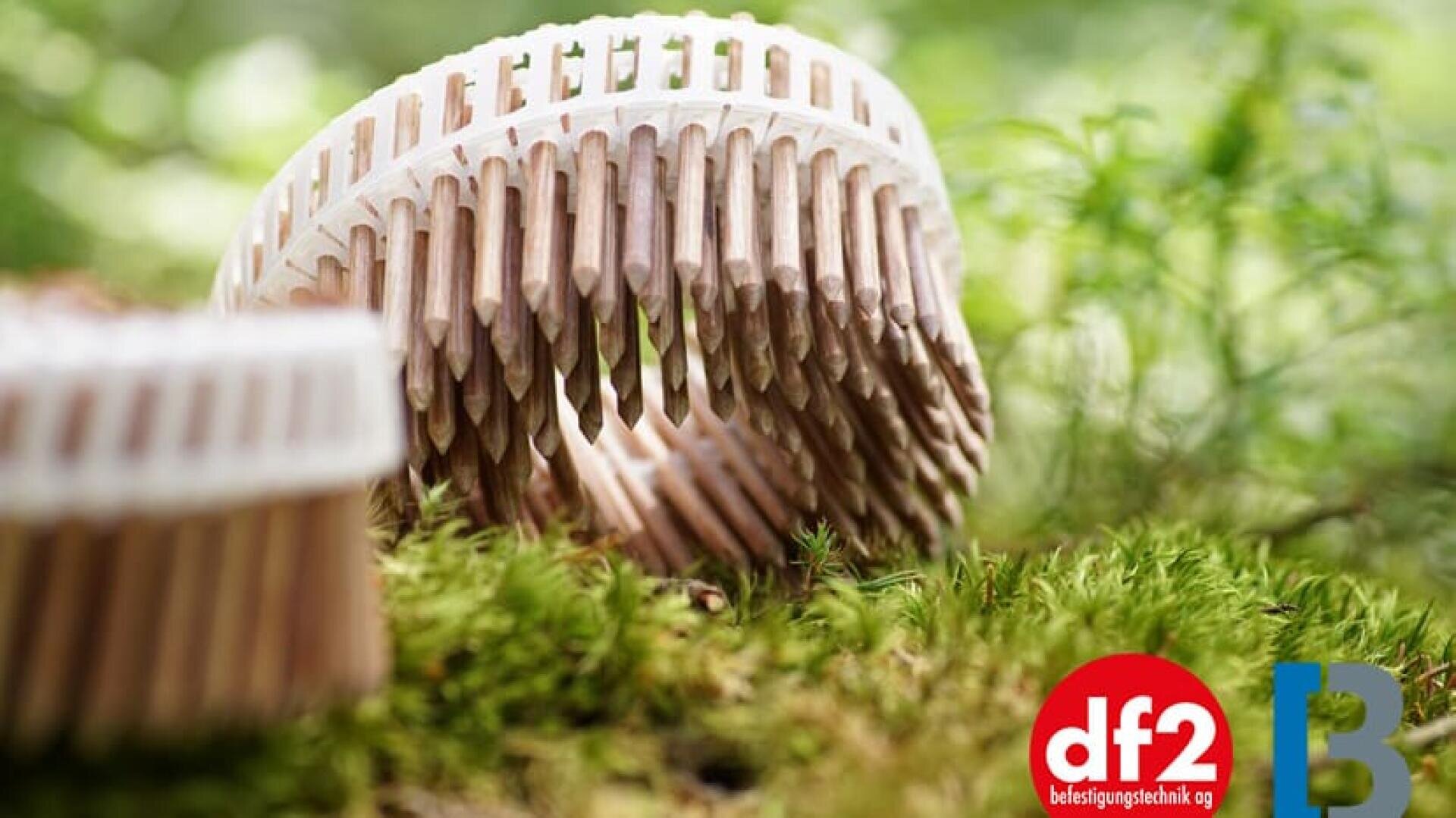 Ein Bündel Holzstifte in einem kreisförmigen Halter liegt auf grünem Moos im Freien, der Hintergrund ist unscharf. Zwei Logos, df2 in rot und B in blau, erscheinen in der unteren rechten Ecke.