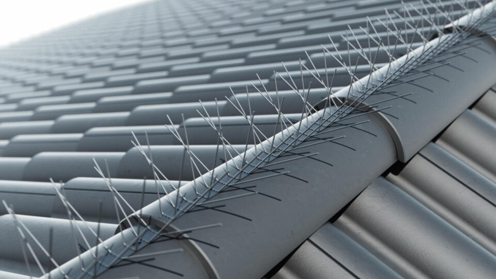 Nahaufnahme eines Ziegeldachs mit Metallspikes, die entlang des Dachfirsts angebracht sind, um Vögel vom Landen abzuhalten. Das Bild zeigt das sich wiederholende Muster aus grauen Dachziegeln und dünnen Metallspießen.